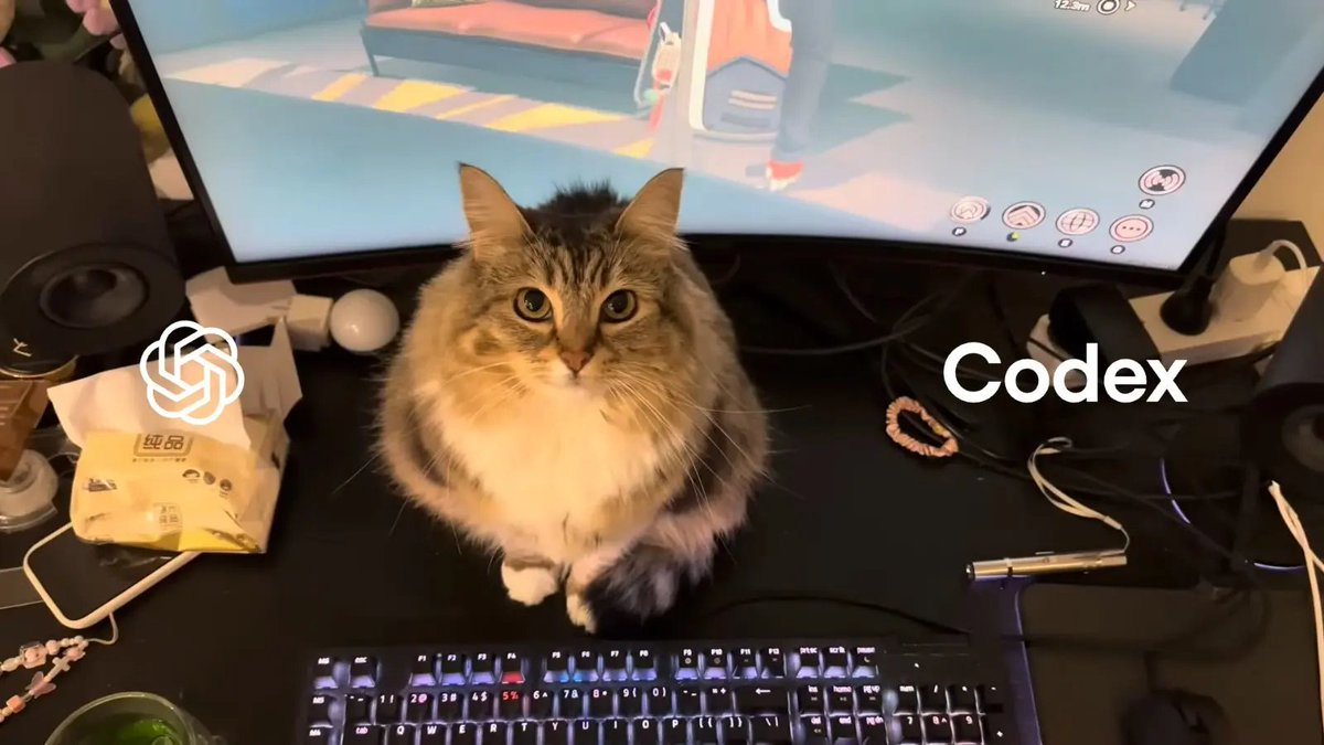 Cat sitting at a computer setup with Codex text