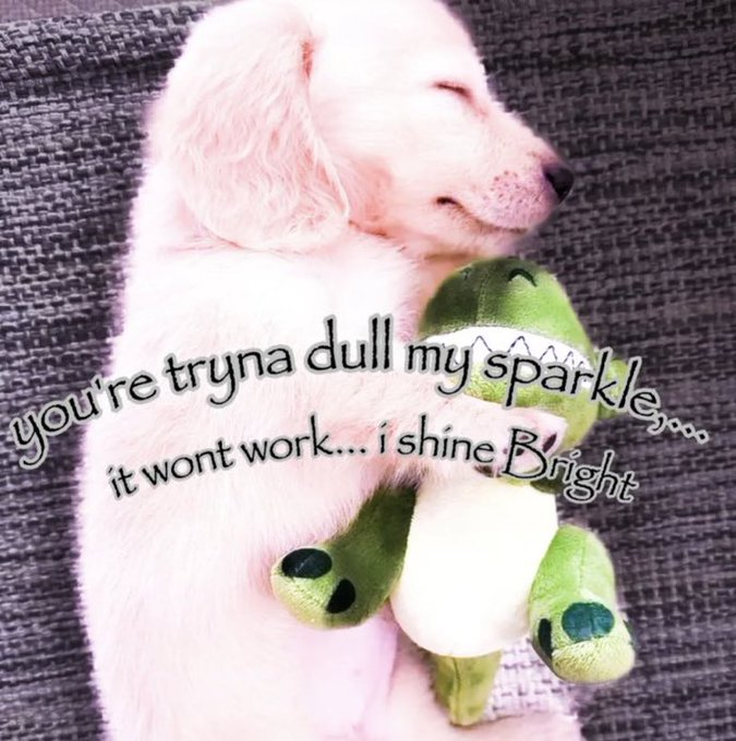 A pink dog holding a frog plush with a quote about shining bright