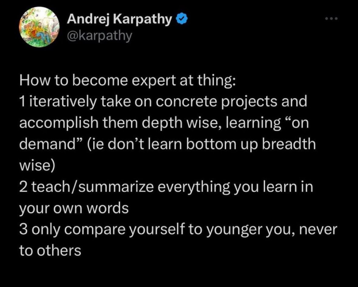 A post describing how to become expert at things through concrete projects
