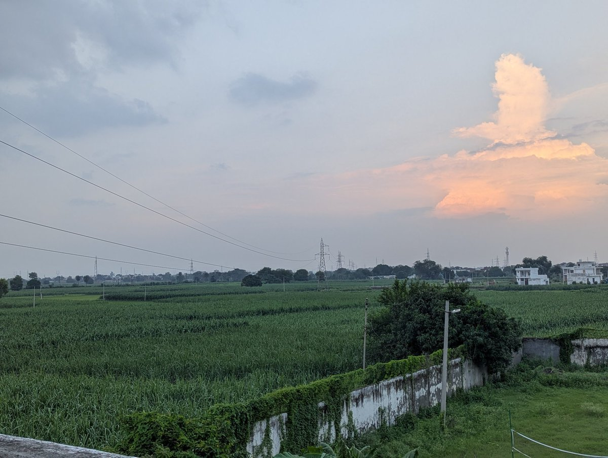 Open fields and power lines beneath a soft evening cloud