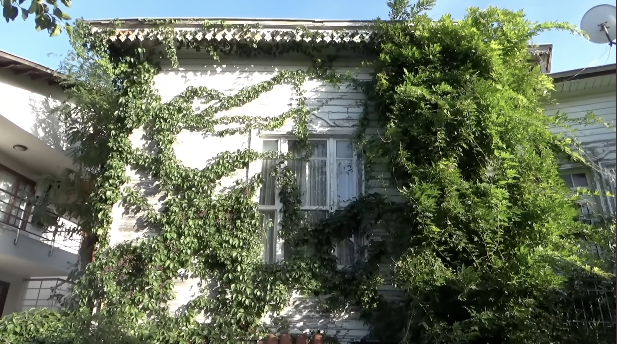Old wooden house almost completely covered in ivy