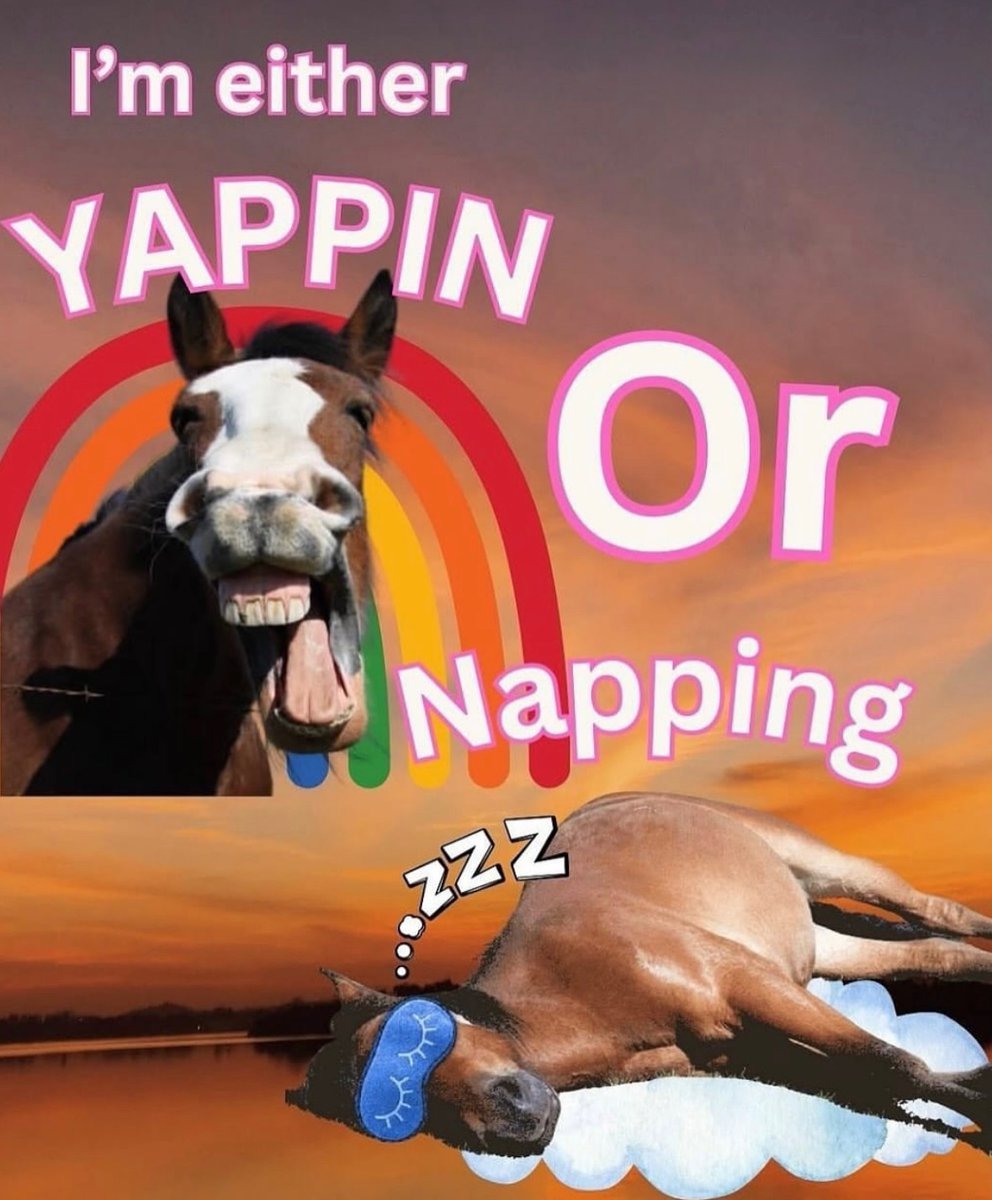 A horse meme asking whether it is yappin or nappin